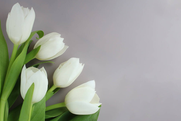 flowers white tulips isolated on a light background - Fotoğraf, Görsel