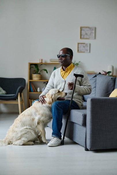 Uomo anziano africano in occhiali scuri con bastone seduto sul divano con cane guida in soggiorno - Foto, immagini