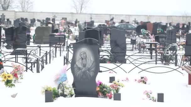 Tombstones on local cemetery - Footage, Video