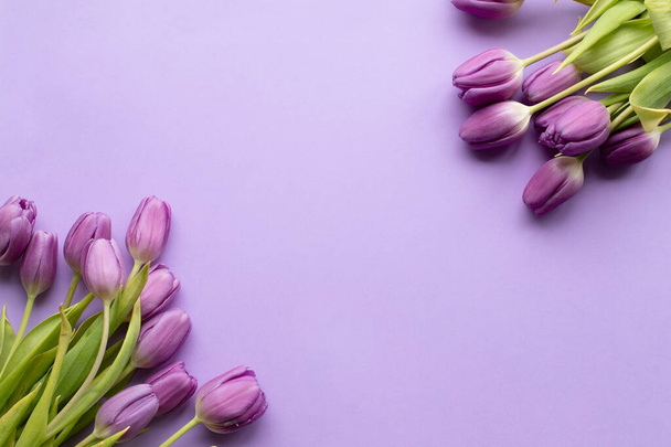 Spring fresh tulips on violet background for mothers day, valentine, easter holidays card invitation.Copy space.Top view photo. - Φωτογραφία, εικόνα