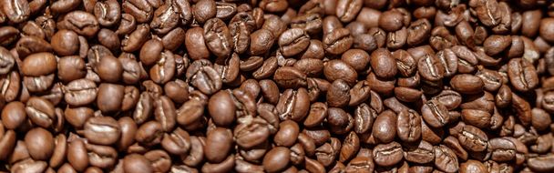 Bruine koffiebonen of zaden van arabica koffie plant achtergrond - Foto, afbeelding