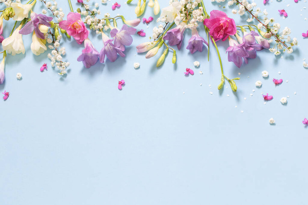 spring beautiful  flowers on blue background - Foto, imagen