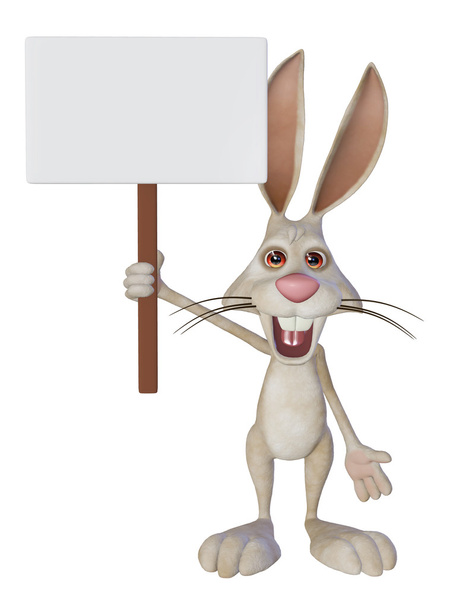 kreslený Bílý králík s prázdný znak - Fotografie, Obrázek