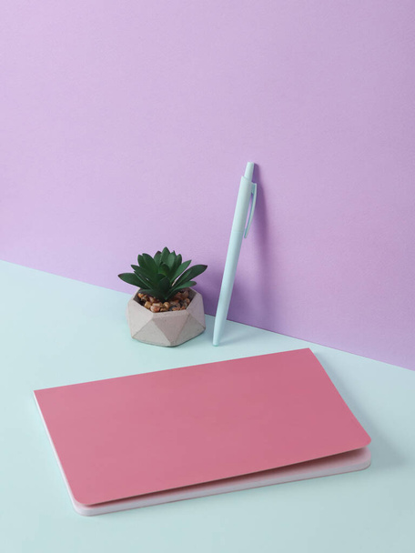 Modern and creative composition with pen and plant on a two tone pastel background. Minimal still life. Fresh idea. Business, education concept - Photo, Image