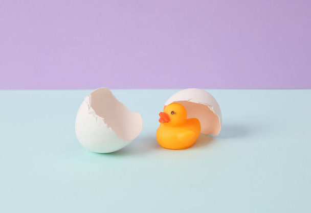 Creative layout. Rubber duck with eggshell on two tone pastel background. Conceptual pop. Minimal still life. - Photo, image