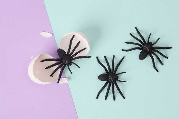 Creative Halloween layout. Spiders with eggshell on two tone pastel background. Conceptual pop. Minimal still life. - Фото, изображение