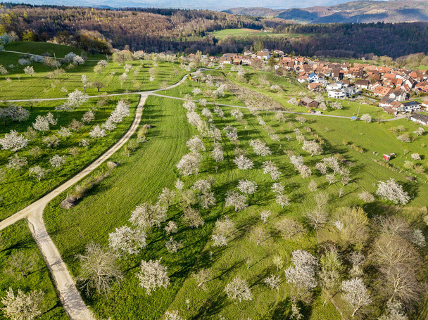 Aerial view of the Swiss village Nuglar with blooming orchard garden over the hill in the late afternoon sun - Valokuva, kuva