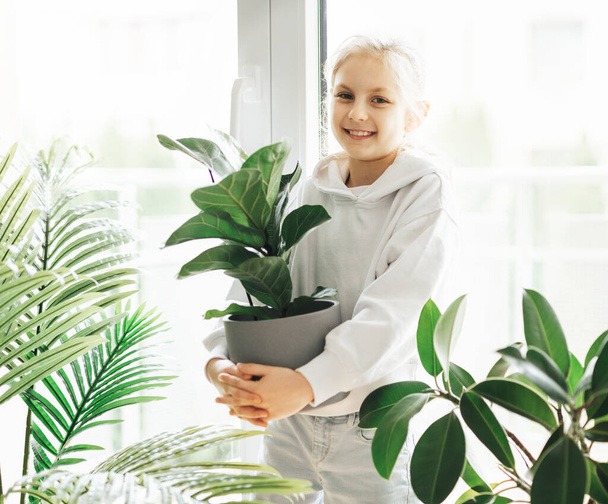 Plantas en maceta en casa, sostenidas por una linda niña - Foto, imagen