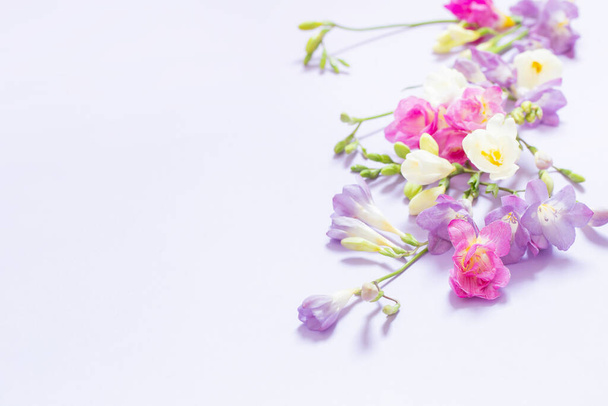 pink, white and purple flowers on light purple background - Photo, Image