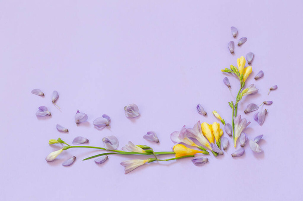 wisteria and freesia flowers on purple background - Photo, image