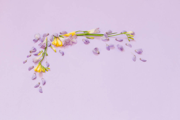 wisteria and freesia flowers on purple background - Photo, Image