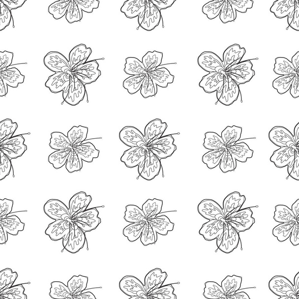 A beautiful seamless surface pattern design inspired by stunning sakura flower. An explosion of blossoms. A fun coloring page and book activity for the whole family. - Foto, immagini