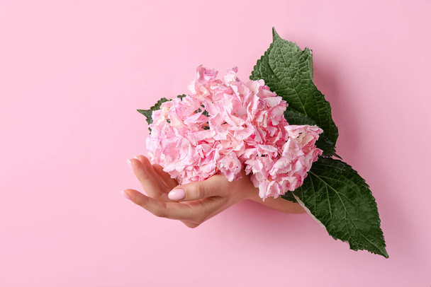 Γυναικείο χέρι με λουλούδι ορατό μέσα από τρύπα σε ροζ χαρτί - Φωτογραφία, εικόνα
