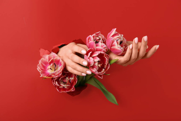 Female hand with tulips visible through hole in red paper - Фото, зображення