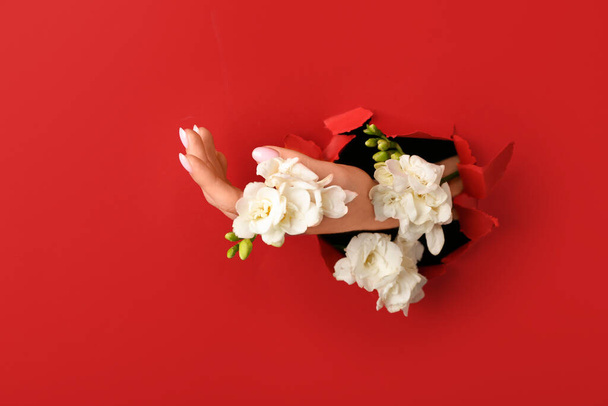 Kobieta ręka z białymi kwiatami widoczne przez dziurę w czerwonym papierze - Zdjęcie, obraz
