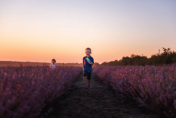 Playful cute boy girl are playing in rows of lavender purple field at sunset. Small couple runs after each other, catches up, holding hands. Cheerful, happy childhood. Travel in countryside. Allergy - 写真・画像