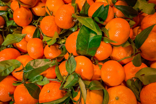 Moldura completa de tangerinas em caixas de madeira, prontas para venda
 - Foto, Imagem