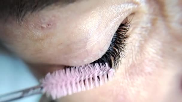 Nahaufnahme des Auges mit Wimpernverlängerungen, Schönheitssalon-Behandlung. Hochwertiges Foto - Filmmaterial, Video
