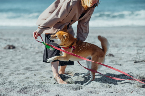 Naisella ja hänen nelijalkaisella ystävällään on ihanaa kävellä rannalla. Tyttö ja hänen pörröinen kumppani shiba koira täyttö onnea luontoon. - Valokuva, kuva