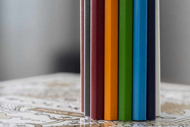 Кольорові олівці у формі кульки на білому тлі
 - Фото, зображення