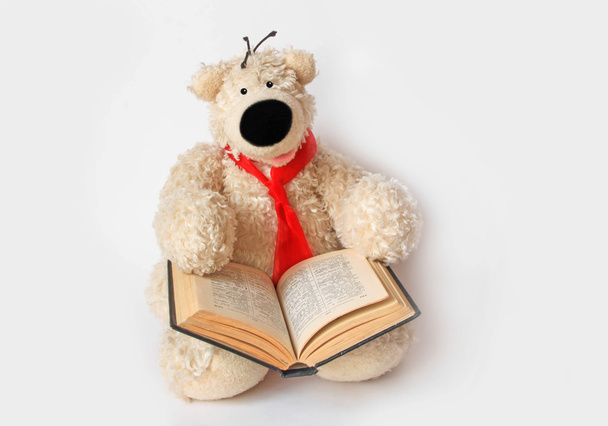 Teddy karhu kirjan kanssa
 - Valokuva, kuva