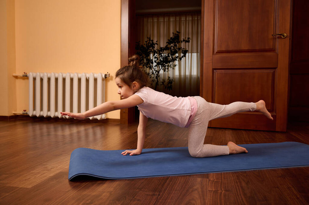 Side view of charming Caucasian active child girl 5-6 years old, working out indoors, practicing yoga on a fitness mat. Bird-dog or kneeling opposite arm and leg extension. Full length portrait - Photo, Image