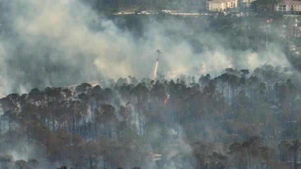 Emergency service helicopter extinguishing wildfire burning severely in Florida jungle woods. Police department chopper trying to put down flames in forest. Toxic smoke polluting atmosphere. - Footage, Video