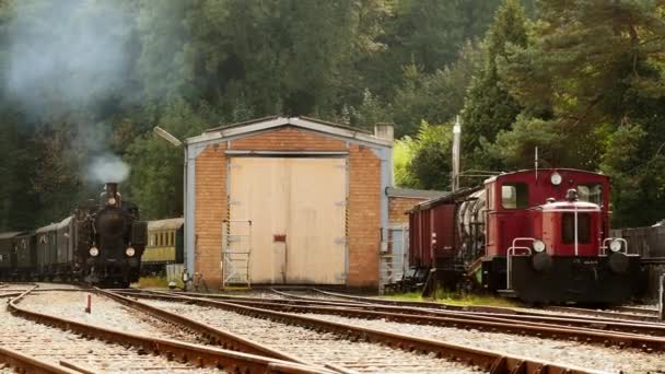 Buharlı lokomotif tren - Video, Çekim
