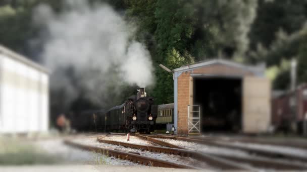 Steam locomotive train - Footage, Video