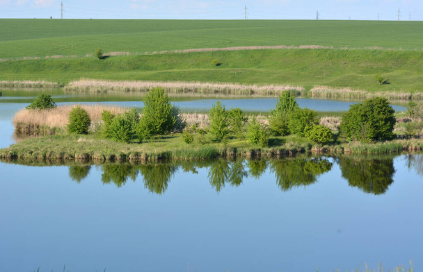 Letní krajina s malým jezírkem a zelení - Fotografie, Obrázek