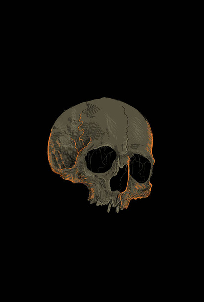 Skull artwork illustration hand drawing - Vetor, Imagem