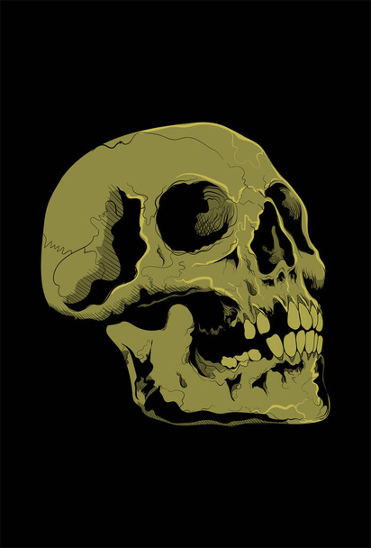 Skull vector illustration hand drawing - Διάνυσμα, εικόνα