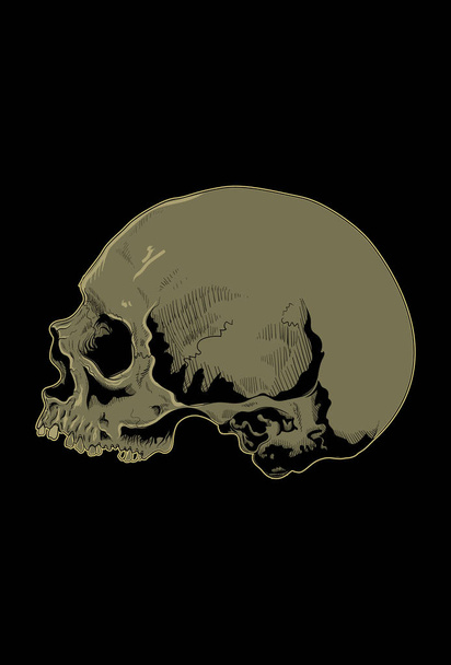 Head skull artwork vector illustration - Vector, afbeelding