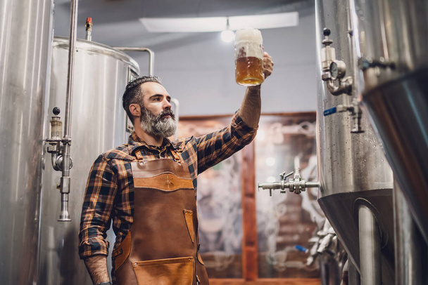 Бородатий майстер пивоваріння тримає келих пива та оцінює його візуальні характеристики. Малий сімейний бізнес, виробництво крафтового пива
. - Фото, зображення