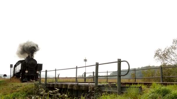蒸気鉄道機関車 - 映像、動画