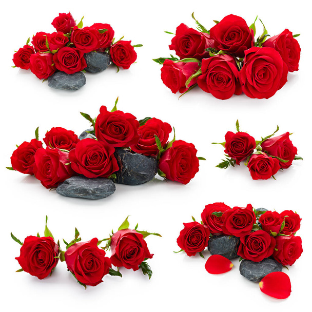 Conjunto de rosas vermelhas botões de flores isoladas no fundo branco - Foto, Imagem
