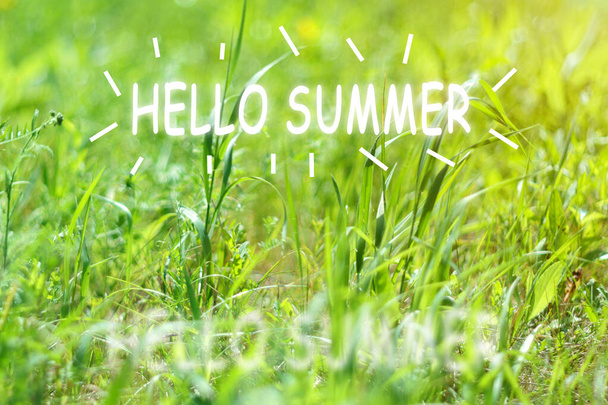 Olá Texto de verão em um dia ensolarado. Foco suave, bokeh e borrão. Fundo natural de verão - Foto, Imagem