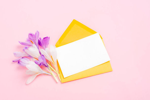 Желтый конверт с пустой карточкой, фиолетовые крокус цветы на розовом фоне. Поздравительная открытка. Вид сверху, плоский, макет. - Фото, изображение