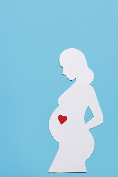 Mavi arka planda hamile bir kadının silueti ve mesaj için yer. Annelik kavramı. Dikey resim. - Fotoğraf, Görsel