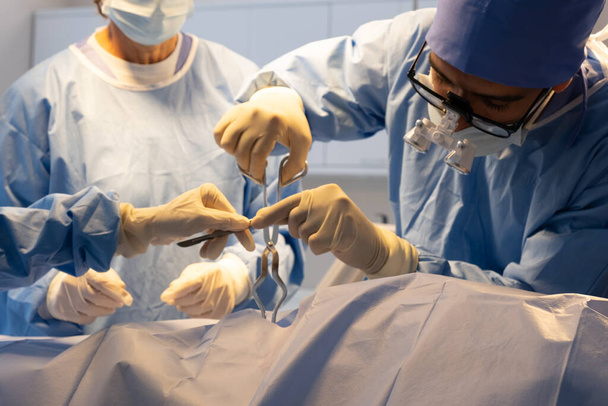The medical team operated on the patient in the operating room of the hospital. - 写真・画像