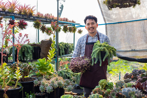 アジアの庭師は、観賞庭園とレジャー趣味のための1つの健康的な鍋を保持しながら、多肉植物コレクションでいっぱいの温室内で働いています。 - 写真・画像