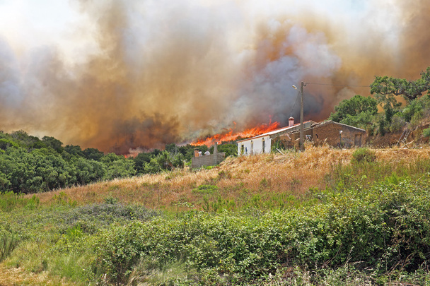 Enorme incendio forestal
 - Foto, imagen