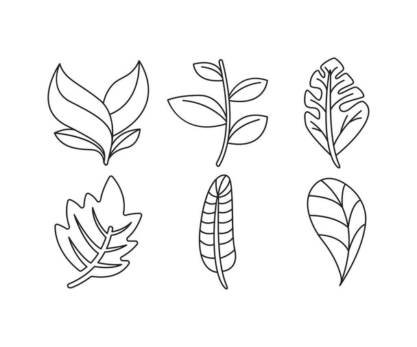 plant and leaf line illustration set - Vetor, Imagem