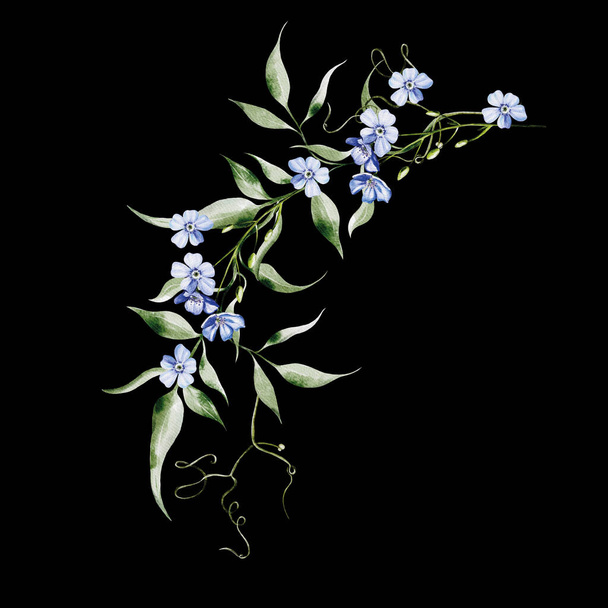 Akvarel věnec s květy chrpy a heřmánku, listy. Ilustrace - Fotografie, Obrázek