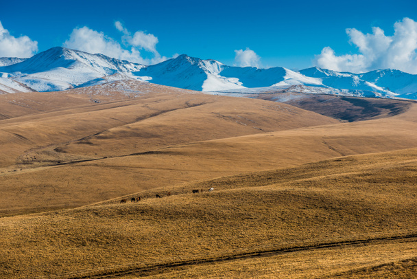 静かな風景。カザフスタンの草原 - 写真・画像