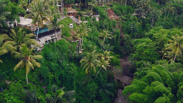 Rainforest in Bali beautiful scene with the river aerial shot - Foto, afbeelding