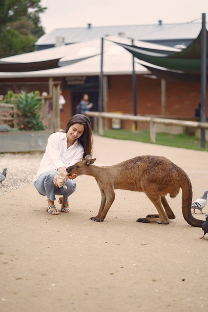 Woman at the reserve in Australia playing and feeding kangaroos - Zdjęcie, obraz