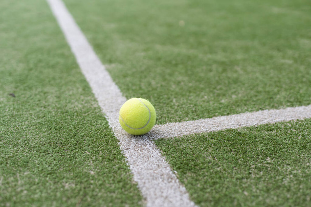 tennis ball on tennis grass court. - Photo, Image