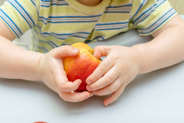 Mignon adorable petit tout-petit bébé enfants mains tenant des pommes, garçon aime s'asseoir dans la chaise d'apprentissage manger des fruits sains à la maison cuisine. Enfants alimentation saine concept de régime alimentaire. - Photo, image