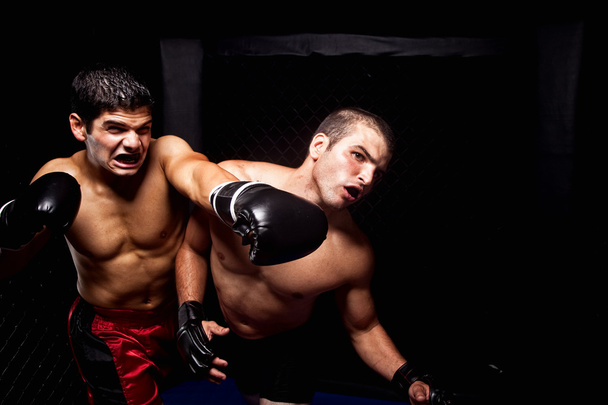 Mixed martial artists fighting - punching - Photo, Image